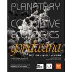 Planetary Cognitive Ecologies: Gondwana.